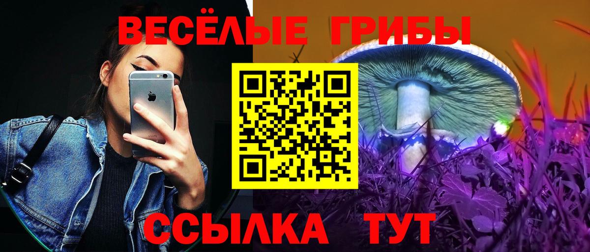 Кисловодск  магазин  наркотиков  Вход с VPN  Галлюциногенные грибы мухоморы  Псилоцибиновые грибы ЛСД 