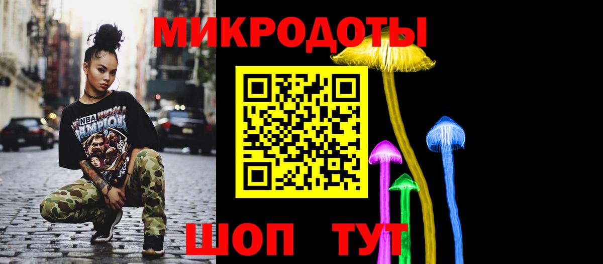 Галлюциногенные грибы Psilocybine cubensis Кисловодск